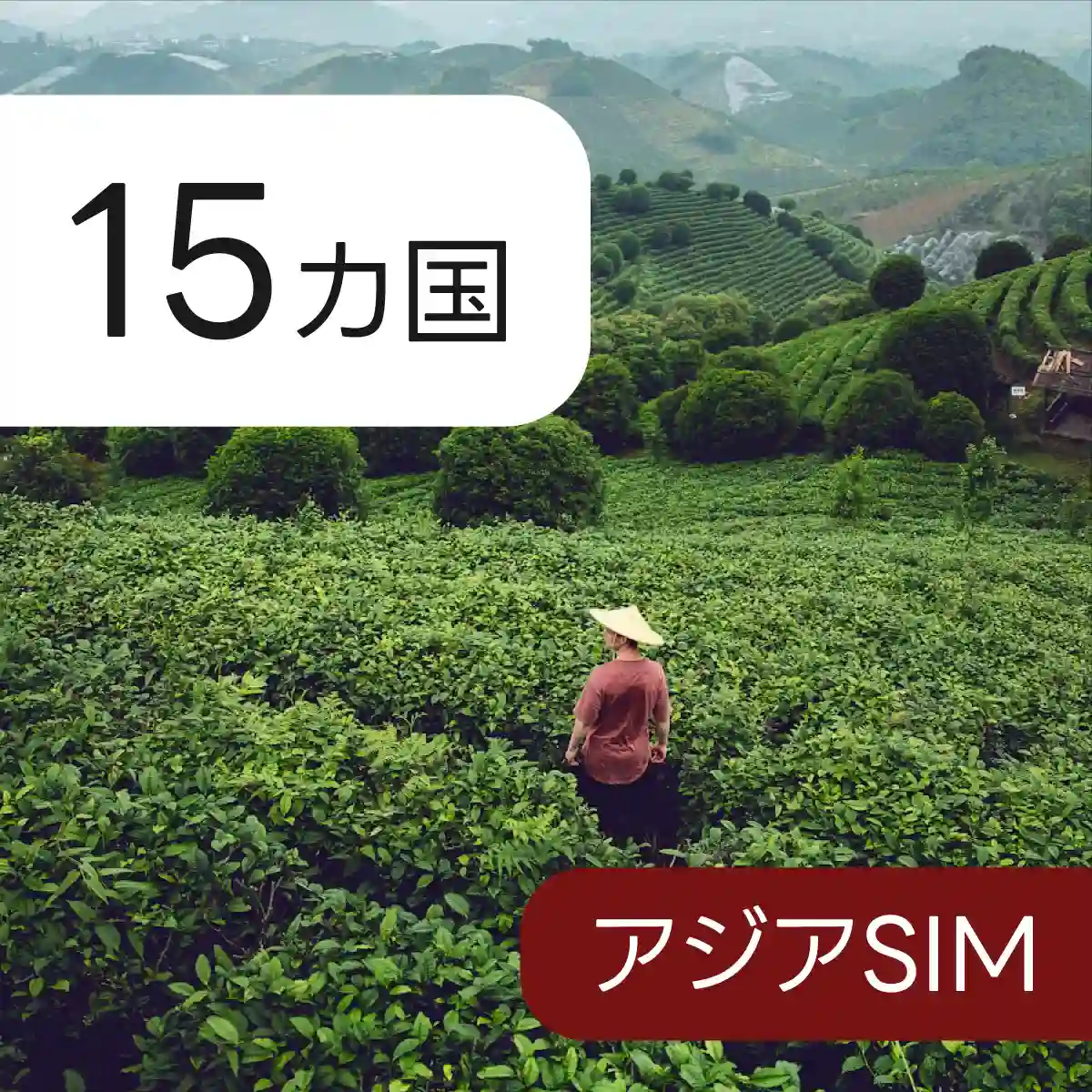 129カ国対応ワールド eSIM